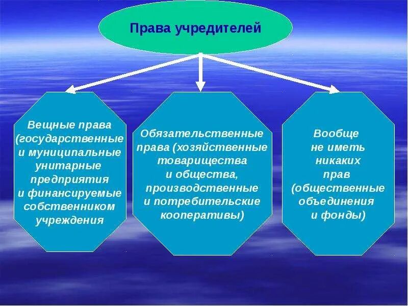 Организация является учредителем ооо