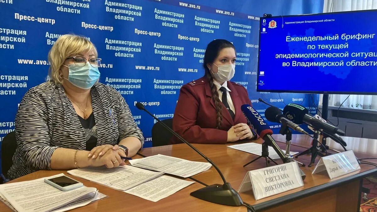 Зебра тв. Новости владимира сайт. Владимирские новости сегодня. Зебра тв. Новости владимира сайт.