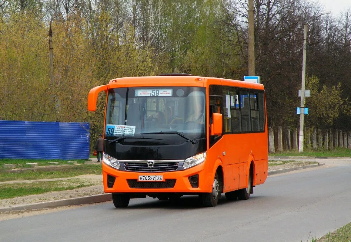 59 автобус нижний новгород. Автобус ПАЗ-320405-04 vector next. ПАЗ-320405 Нижний Новгород. ПАЗ вектор Некст Нижний Новгород. ПАЗ 320405.