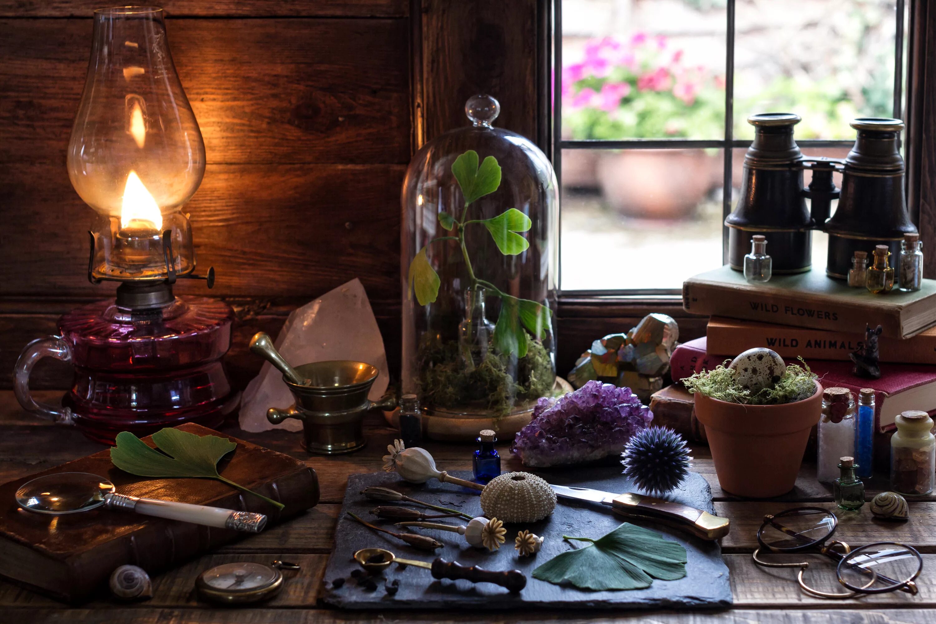 предметы на столе. разные предметы на столе. натюрморт обед. письменные принадлежности. старинные вещи.