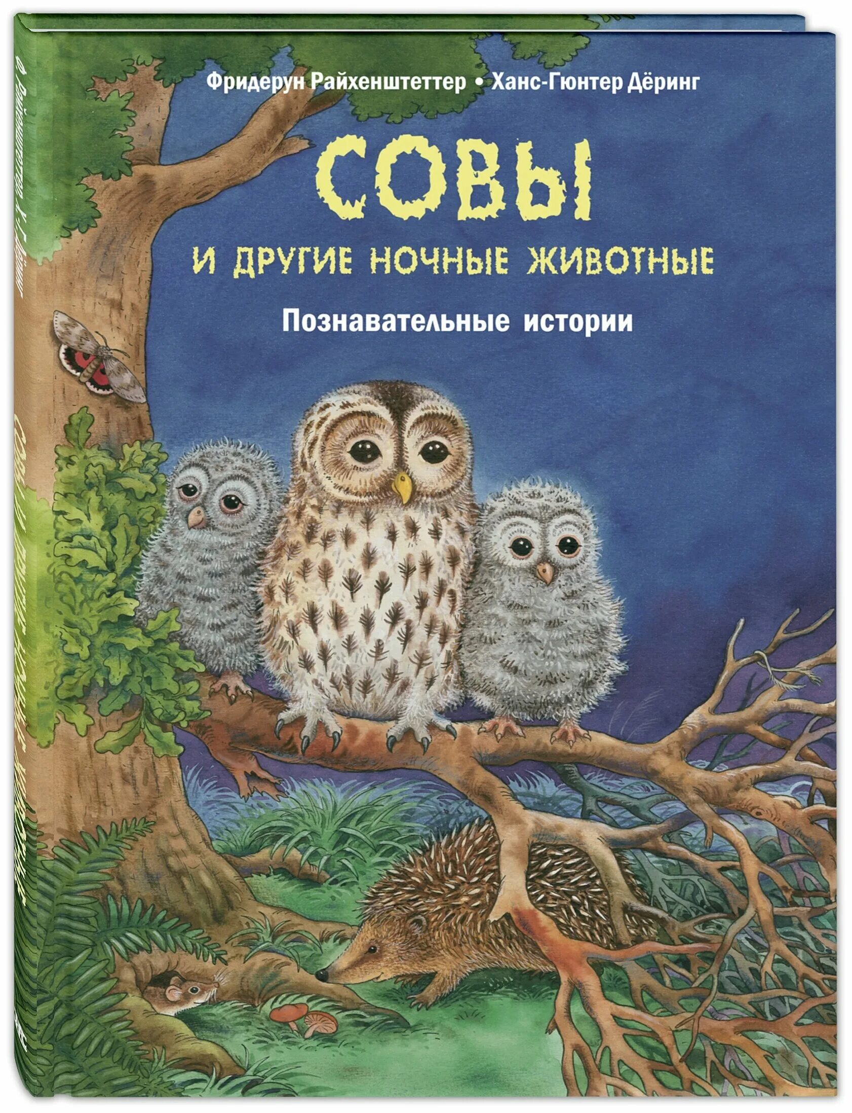 Книга совы прилетают в полночь