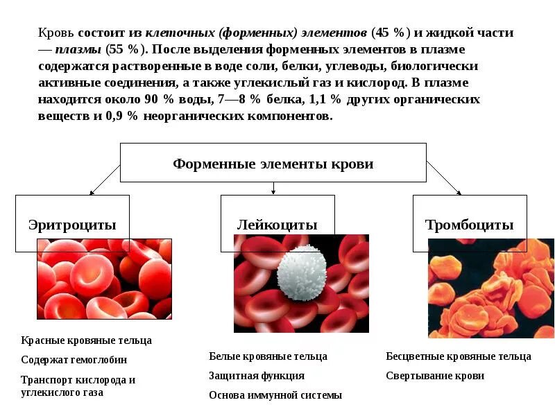 Активные форменные элементы. Форменные элементы крови физиология. состав крови клетки крови их строение функции. состав и функции форменных элементов крови. кровь состоит из плазмы и клеток крови.