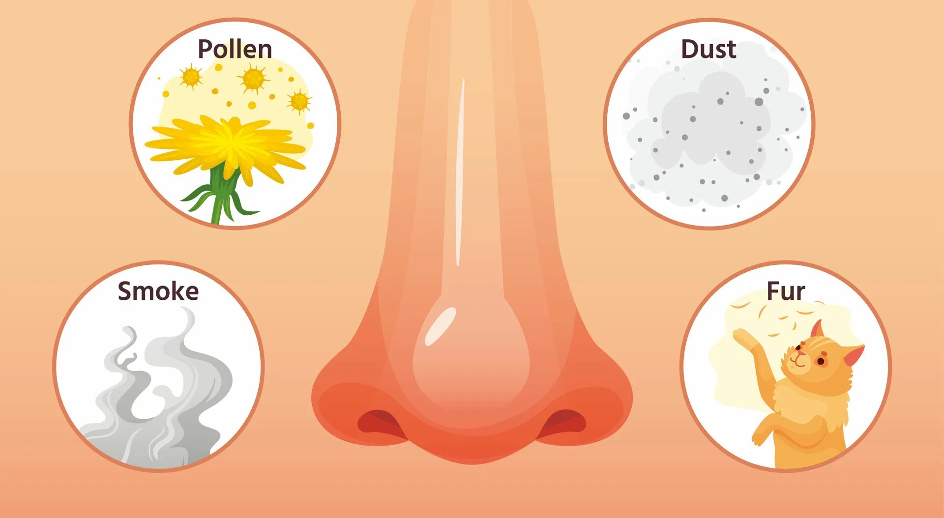 Запах пыли в носу. Аллергия иллюстрация. Аллергены картинки. Аллергены у детей картинки для презентации. Картинки связанные с аллергией.