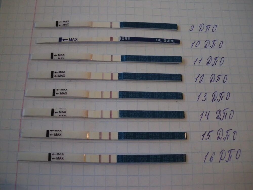 За сколько делать тест на беременность. Тест на беременность 20 ММЕ/мл. Чувствительность тестов на беременность 20 ММЕ/мл. Эвитест на беременность 20 ММЕ/мл. Тест на беременность по дням задержки.