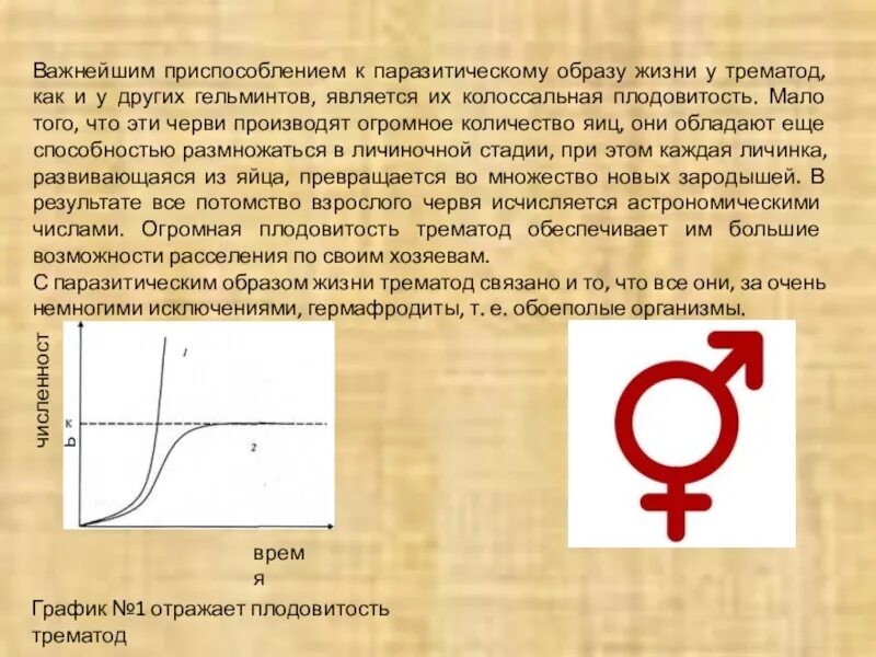 Приспособления трематод к паразитическому образу жизни. Цепь паразитическая примеры. Приспособление гельминтов к паразитическому образу жизни. Как связаны плодовитость Продолжительность жизни и Размеры зверей.