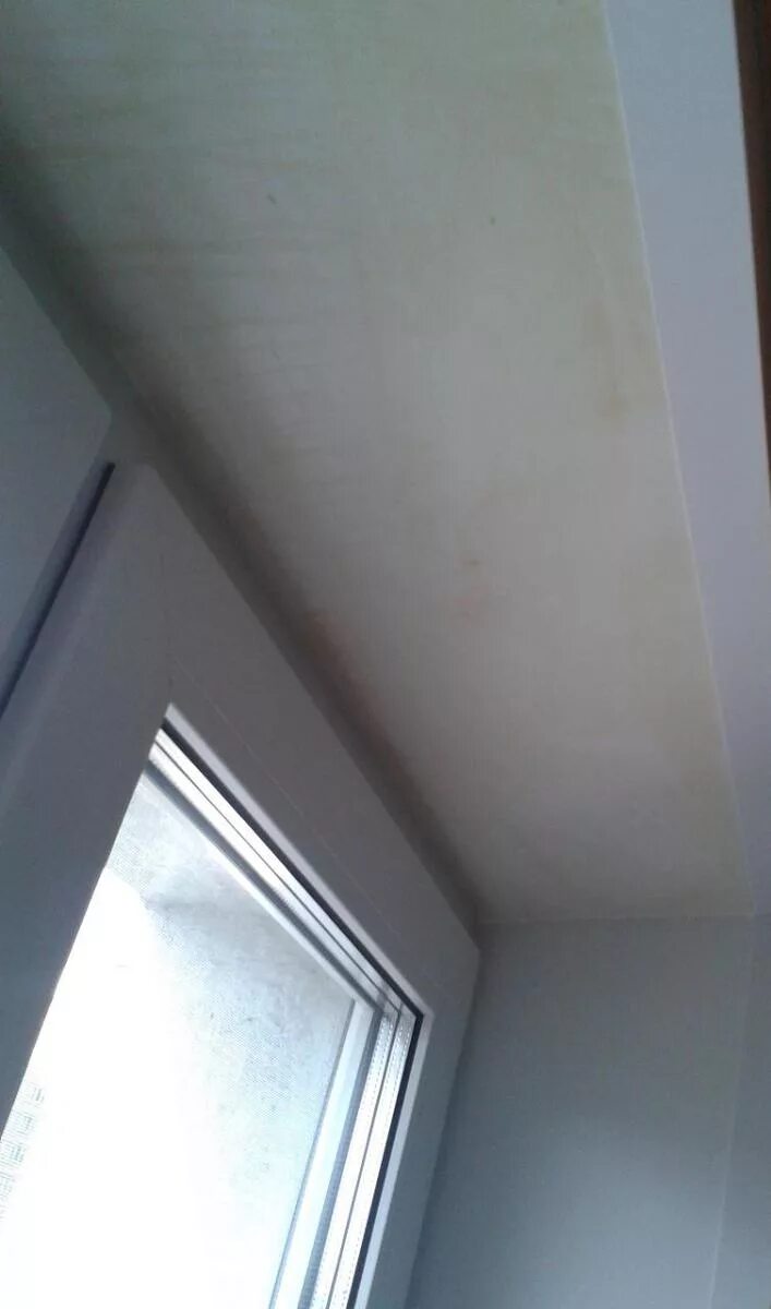 пластиковые откосы потемнели. пластиковые откосы потемнели. пластиковые откосы потемнели. плесень на пластиковых окнах. плесень на пластиковых окнах.