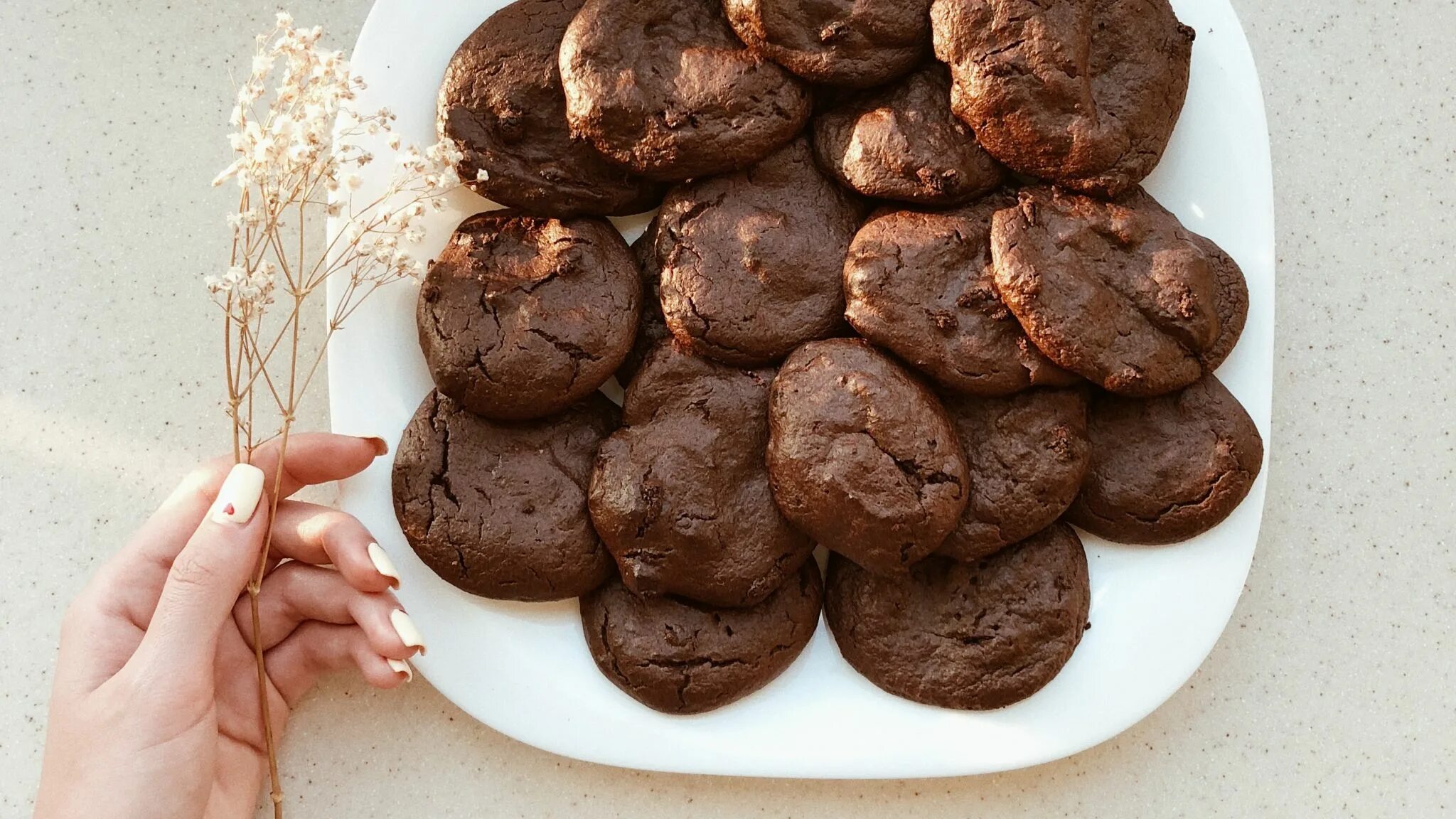 Бакусы печенье. Печенье Брауни шоколадное. Бакус печенье. Печенье типа чокопай. Печенье Брауни с шоколадом.