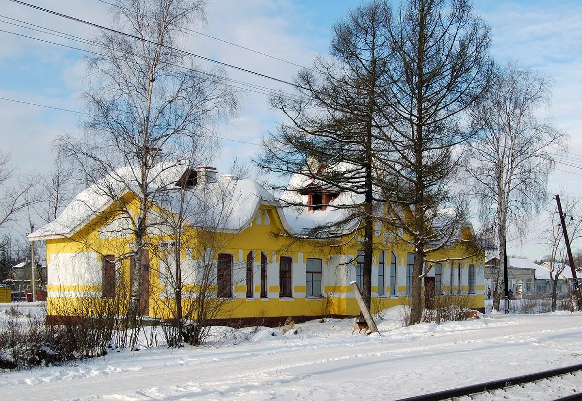 Погода в сусанино гатчинского района. Сусанино Ленинградская область вокзал. Вокзал в Сусанино Гатчинский. Поселок Сусанино Ленинградская область. П.Сусанино Гатчинский район.