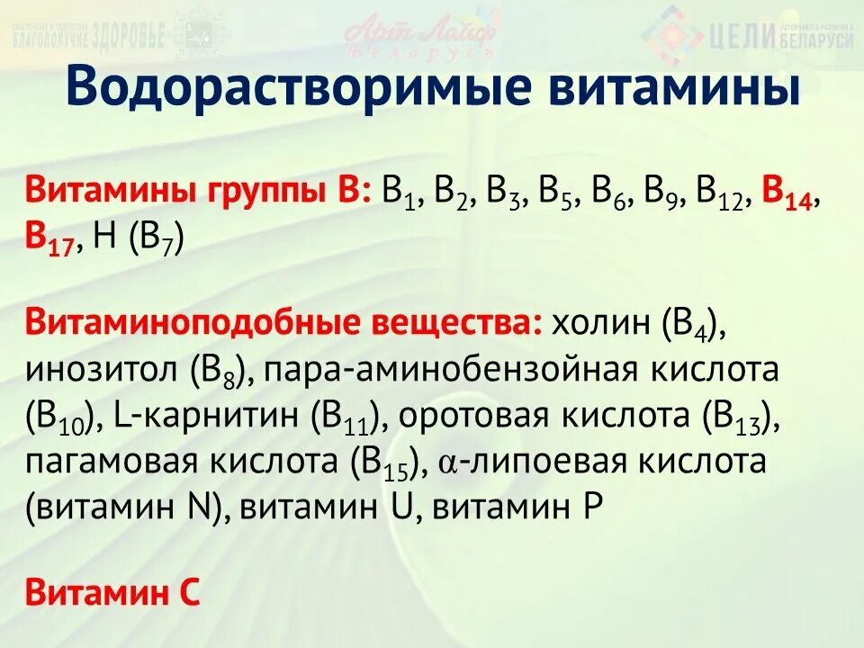 1 водорастворимые витамины. Водорастворимые витамины в1. Водорастворимые витамины в 13. Зачем нужны водорастворимые витамины. Водорастворимые витамины богатей.