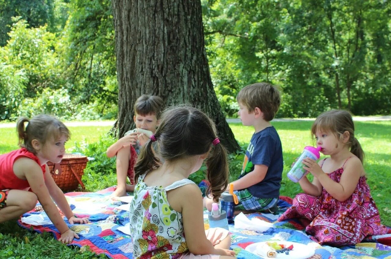 Игры на природе для детей. Пикник для детей в детском саду. Игры для пикника на природе для детей. Дети на пикнике в парке. Пикник снять