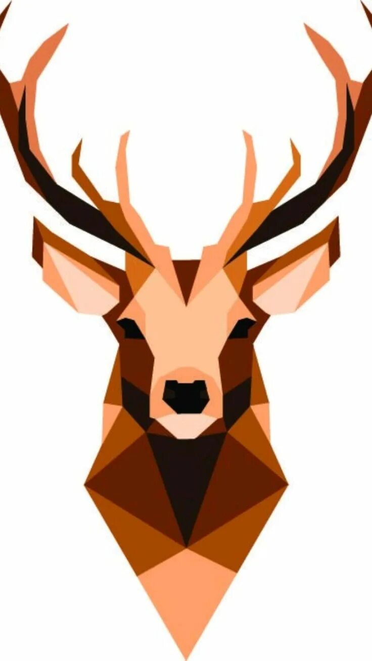 Deer studio
