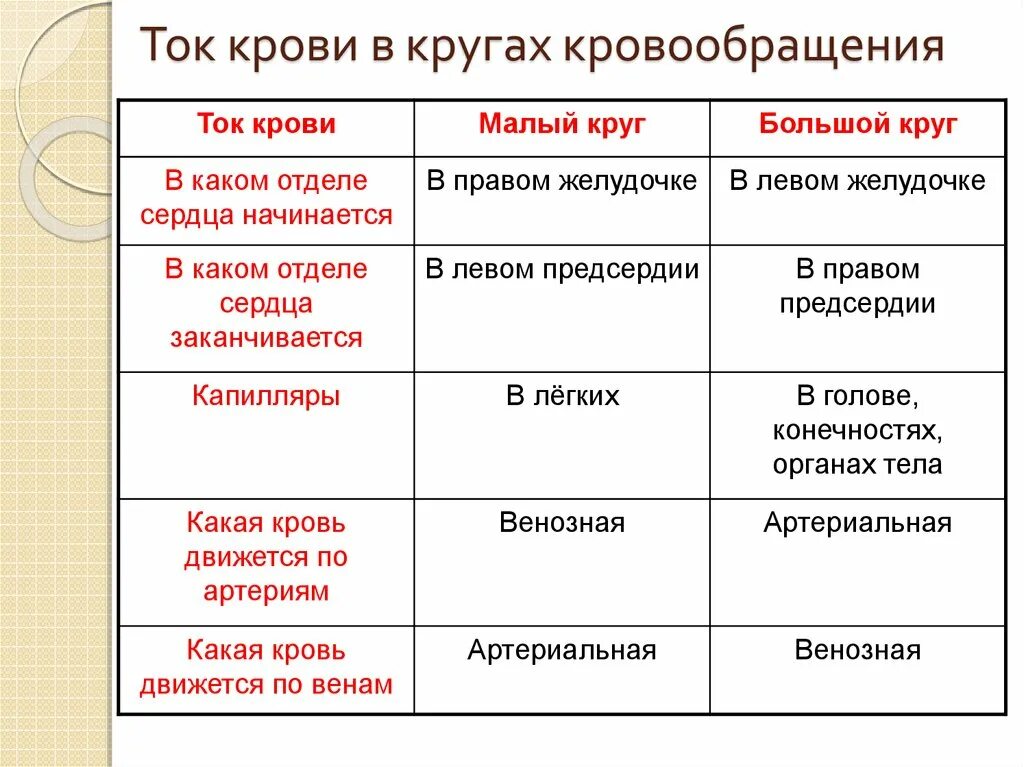 Движение крови биология 8 класс. Ток крови в кругах кровообращения таблица. Таблица круги кровообращения 8 класс биология. Большой и малый круг кровообращения таблица. Малый и большой круг кровообращения человека 8 класс.