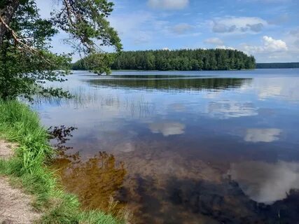 Зеленогорск яппиля