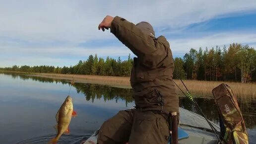 Щука в карелии. Карелия озера для рыбалки. Рыбалка на озерах карелии. Рыболовство в карелии. Рыбалка в карелии.