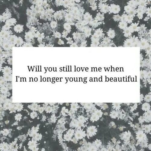 Песня i still love. Will you still Love me when i'm no longer young and beautiful. Will you still Love me. Will you still Love me when i'm no longer young and beautiful перевод. Do you still Love me картинка.