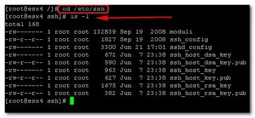 SSH root. SSH доступ. Конфигурация SSHD_config. Etc каталог