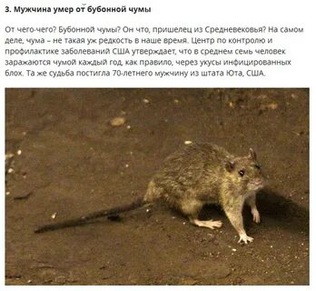 Рекорды нелепых смертей