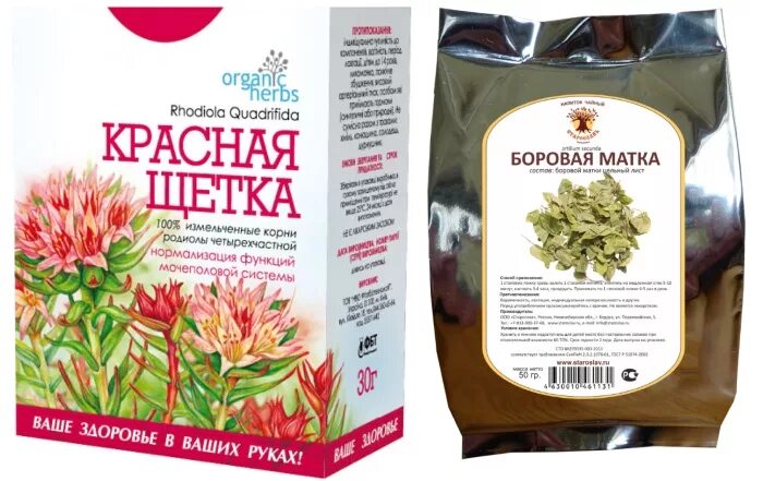 Травяной сбор Боровая матка состав. Красная щетка Rhodiola quadrifida. Трава красная щётка и Боровая матка. Боровая матка и красная щетка при эндометриозе.