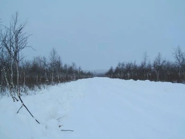 Погода окунев нос усть цилемского района рп5. Окунев нос Усть Цилемского района. Харьяга Усть-Цилемский район. Посёлок Медвежка Коми. Медвежка Усть-Цилемский район.