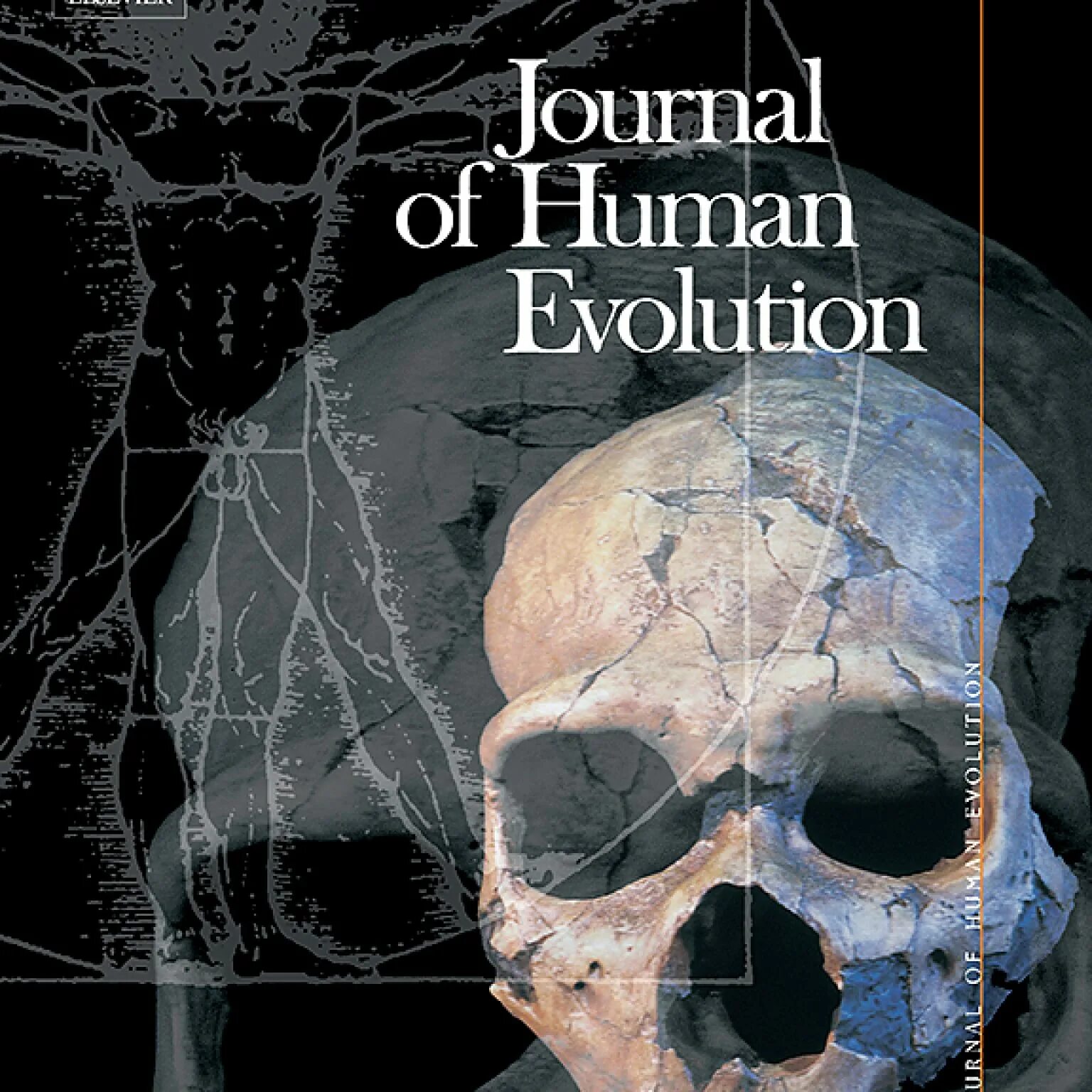 Журнал Journal of Human Evolution. Journal of Human Evolution обложка. Журнал Journal of Human Evolution обложка. American Journal of physical Anthropology. Human journals