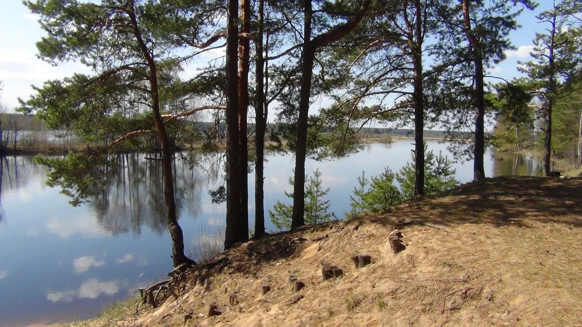 Молога притоки. Река Молога Пестово. Река Молога Весьегонск. Река Молога деревня Харламовская. Бежецк Молога.