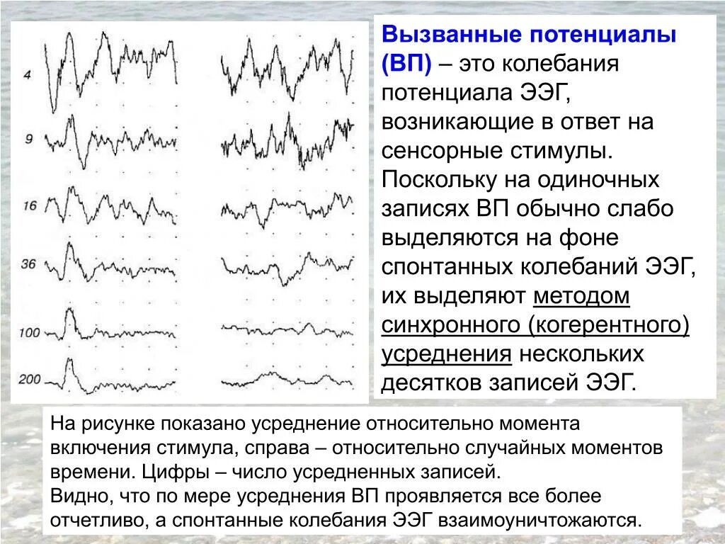 Метод вызванных потенциалов психофизиология. Когнитивные вызванные потенциалы ЭЭГ. Вызванные потенциалы (ВП). Метод вызванных потенциалов головного мозга. Запись на ээг