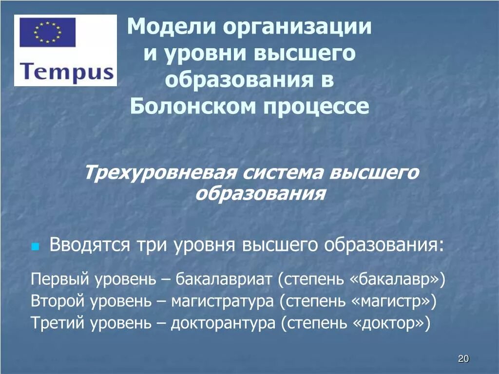 Фальков система образования. Болонская система высшего образования. Болонские уровни образования. Степени болонской системы образования. Уровни обучения по болонской системе.