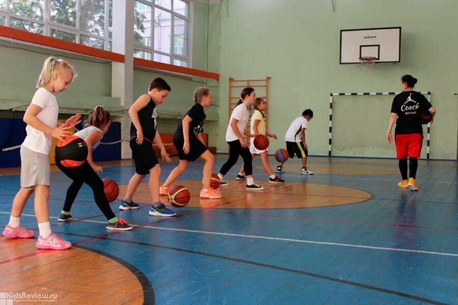 Профиль спортивной школы. Баскетбол в школе. Урок баскетбола в школе. Баскетбол дети школа. Урок физкультуры баскетбол.