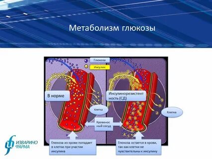 Инсулин клетка