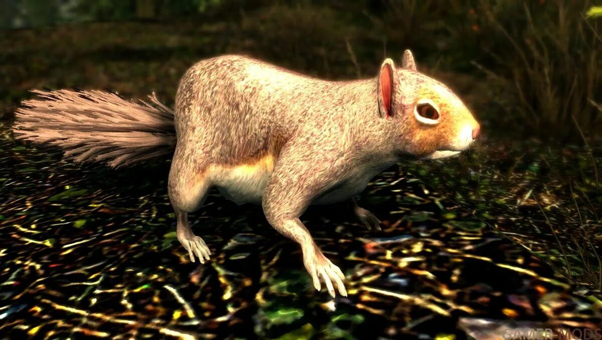 Черепаха белка. Белка в скайрим. скайрим белочка. белочка черепаха. minecraft squirrel.