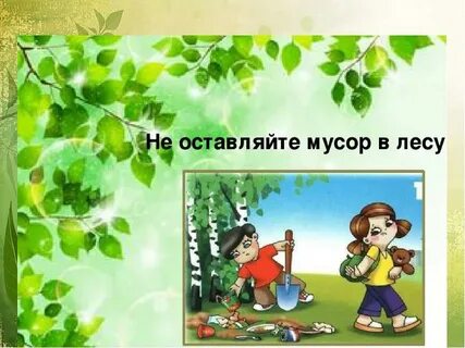 Правила поведения в природе картинки для детей