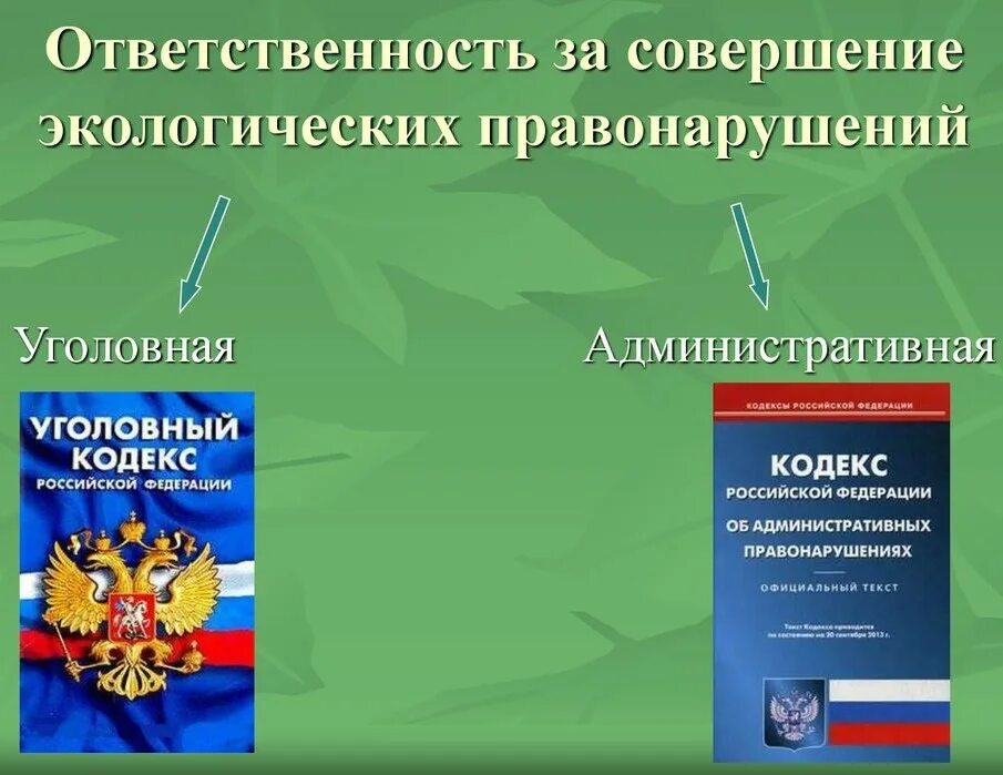 Вина правонарушителя экологического правонарушения. Административаня ответ. ответственность за правонарушения. административные экологические правонарушения. ответственность за экологические правонарушения.