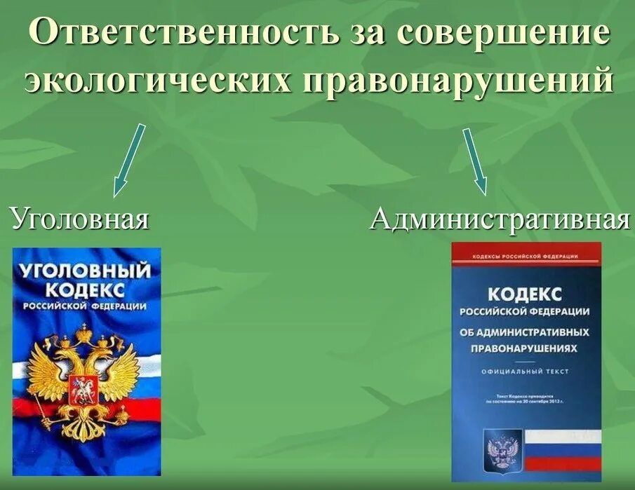 Ооо законодательство рф. Ответственность за совершение экологических правонарушений. Административаня ответ. Уголовная ответственность за экологические правонарушения. Уголовная экологическая ответственность.