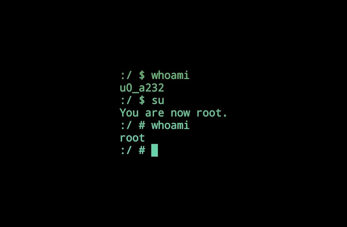 Not find kernel image