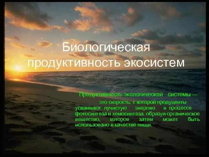 Биологическаямпродуктмвнгсть экосистем. Первичная продуктивность экосистемы. Биопродуктивность экосистем. Первичная продукция биогеоценоза. Последовательность увеличения биологической продуктивности природных зон