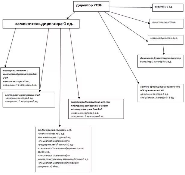 Учреждения социальной защиты населения виды. Функции начальника УСЗН. Структура Люберецком управлении социальной защиты управление. Меры социальной политики социальной роли руководителя.