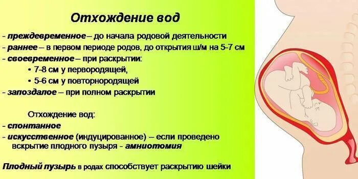 27 недель беременности отошли воды. Пробка при беременности. Беременна в воде.