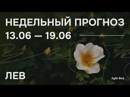 Лев гороскоп на неделю с 21 октября