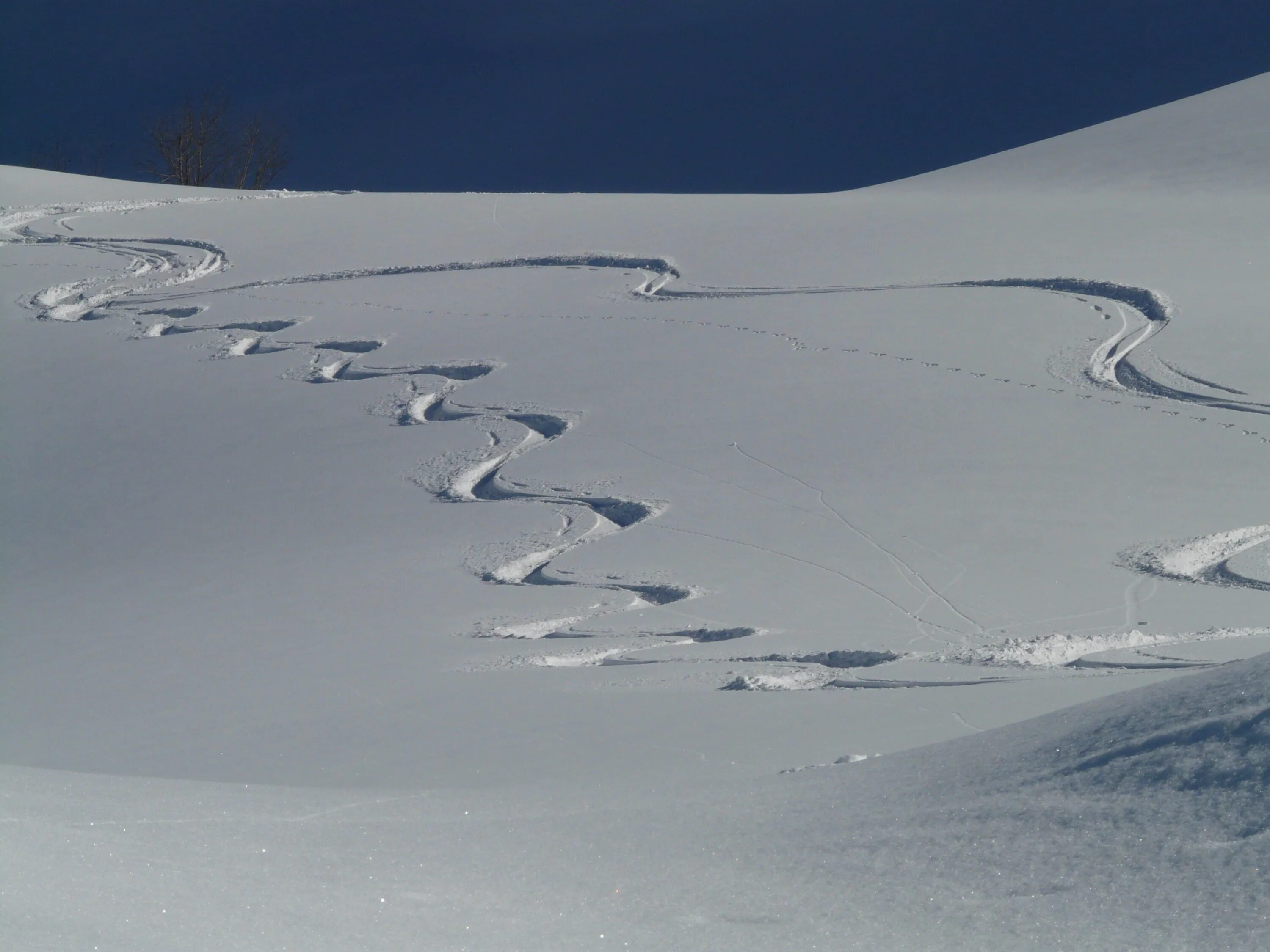 Лыжные следы на снегу. Следы от лыж на снегу. Лыжный след. След горных лыж. Ski tracks