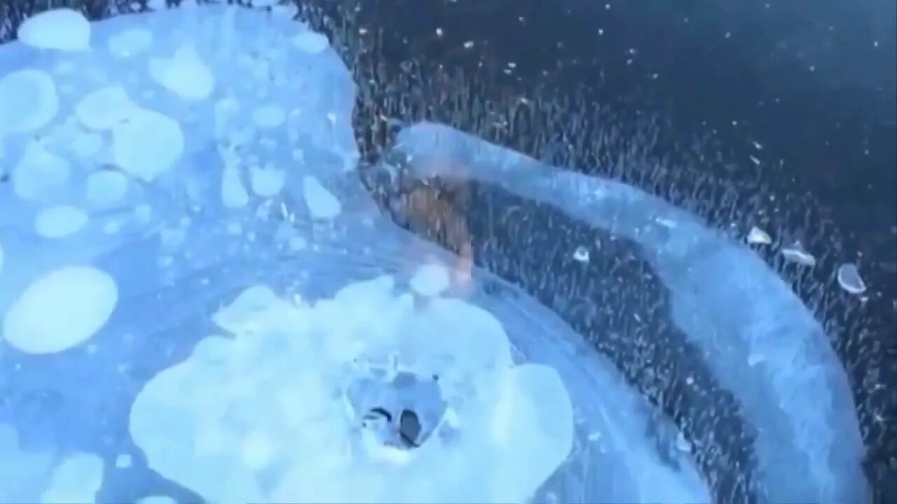 Как стать льдом. Лед анимация. лёд gif. вода со льдом. таяние льда анимация.