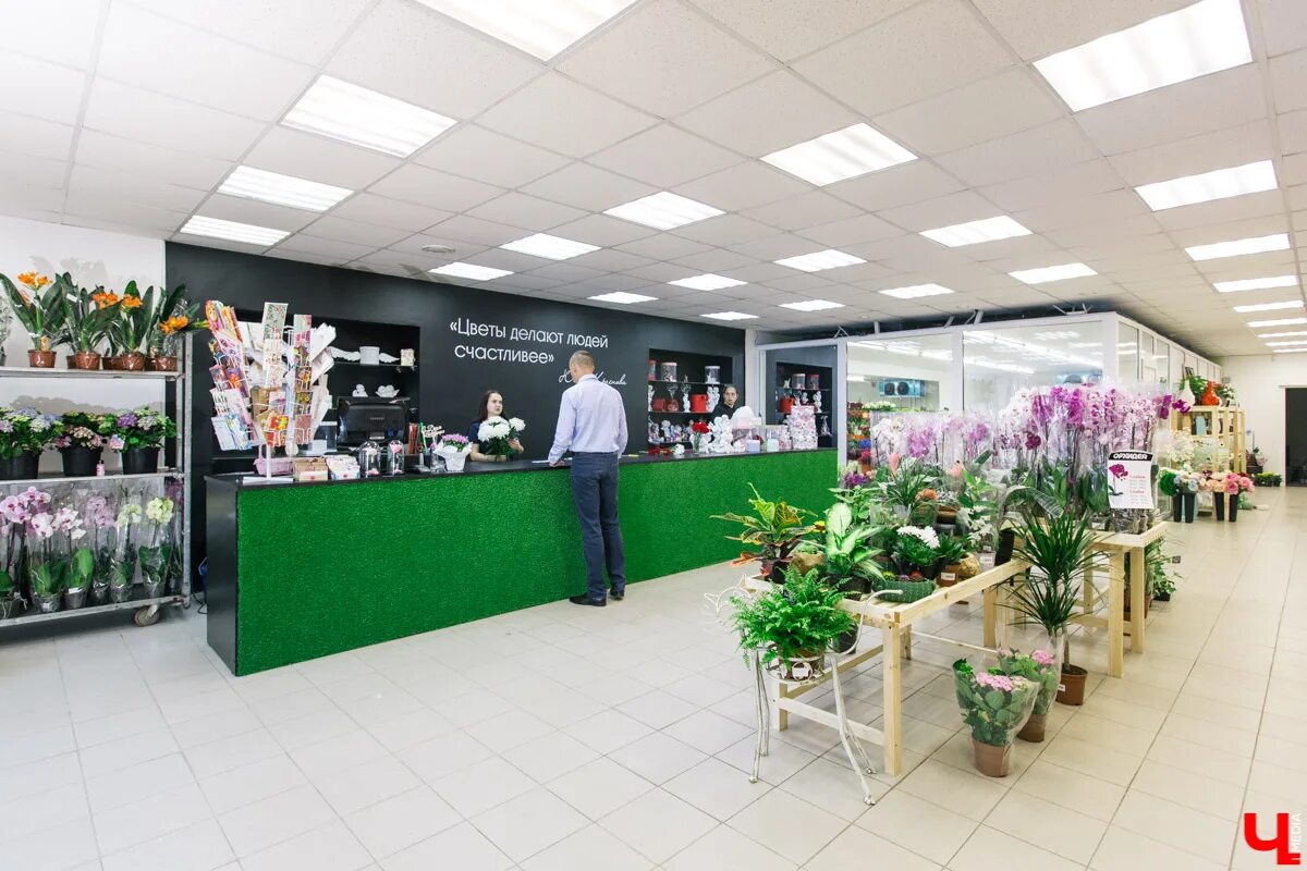 цветочный магазин строитель. цветочный магазин строитель. проспект строителей октябрьский район павильон цветы. проспект строителей 142. цветочная база во владимире.