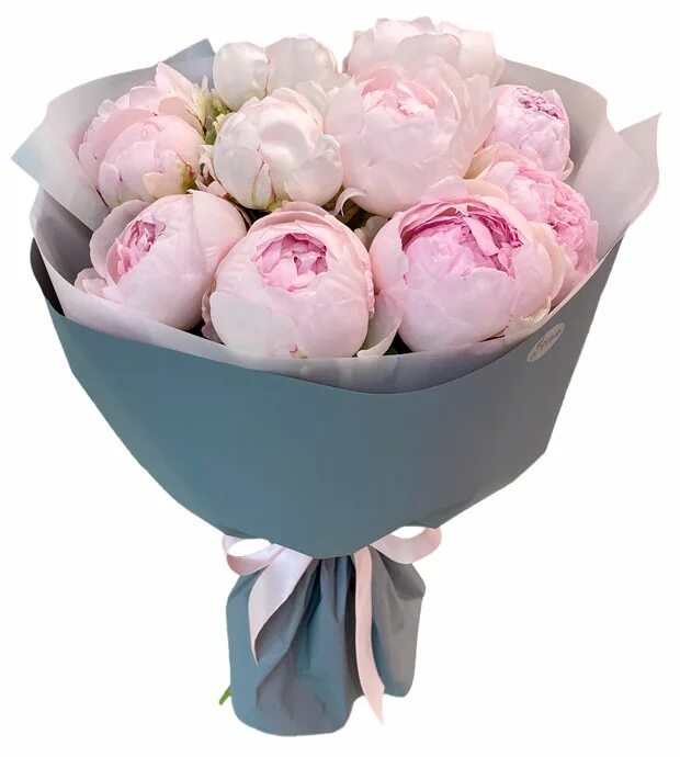 Пион k03724. Blushing princess пион. Голландские пионы букет. Каталог пионов в ярославле. Букет из 17 пион.