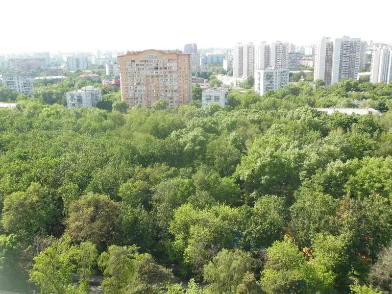 Мос Анжелес Бабушкинский парк. Жилой комплекс Бабушкинский парк. ЖК «Бабушкинский парк (Мос-Анжелес)». Бабушкинский район Москва. Горы бабушкинского района