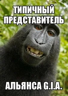 Типичный м