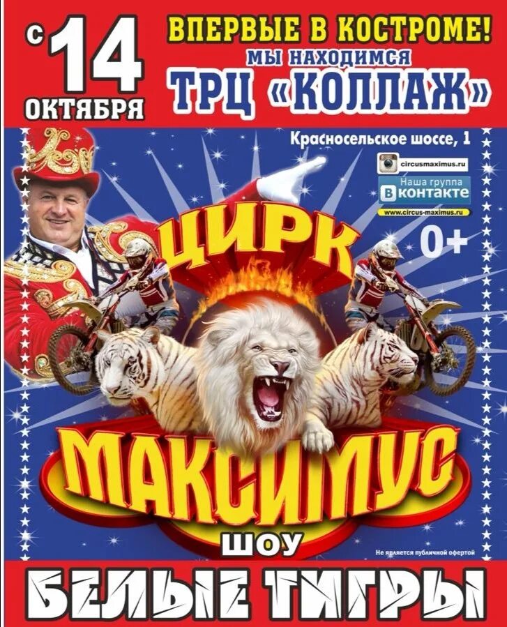 Цирк максимус во владимире 2025. Цирк максимус кострома. цирк максимус ковров. цирк максимус воскресенск. цирк максимус в коврове 2025.