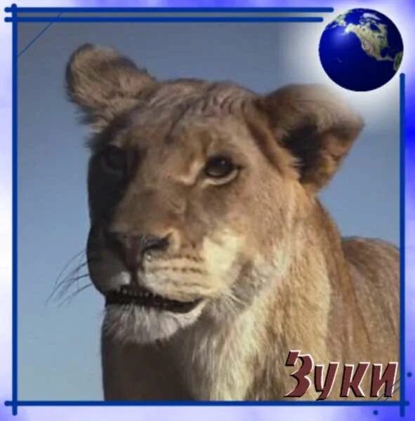 Ask Polly: I’m a Stepmom, But I Want a Baby of My Own! Lion family, Lion picture