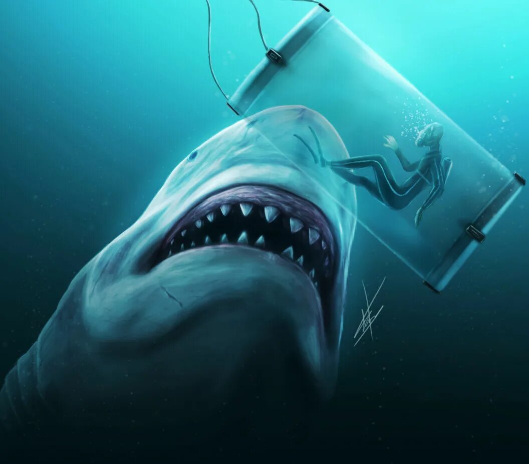 Кархародон мегалодон скелет. Megalodon rising. мегалодон в реальной жизни. мегалодон скелетон.