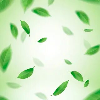Leaves flew