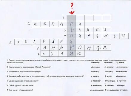 Тропический лес 6 букв сканворд