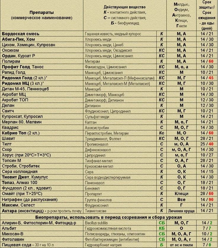 Топаз фунгицид для винограда. Таблица препаратов для обработки винограда. Таблица фунгициды виноград. Квадрис 6мл,фунгицид 6мл/100. Сроки ожидания фунгицидов для винограда.